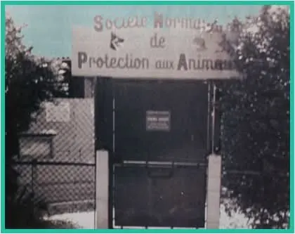 Photo historique SNPA 2